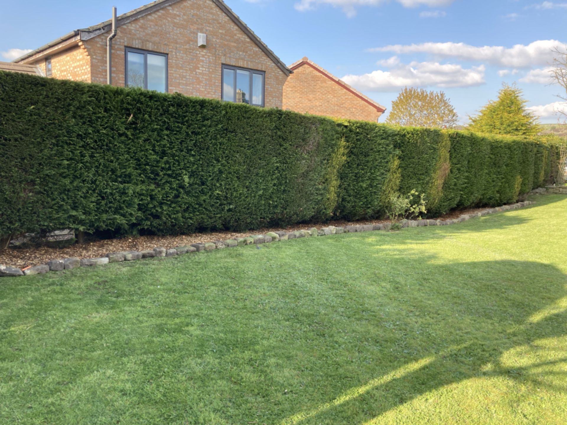 High level hedge cutting Gallons Garden Services