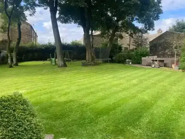 Expert Landscaping in Linton