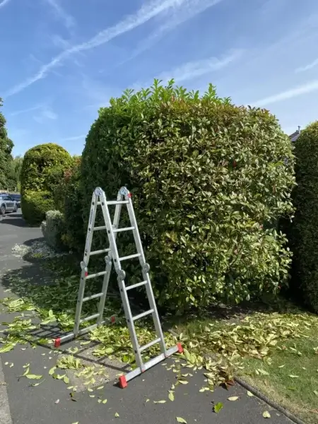 Landscaping Services in Bingley