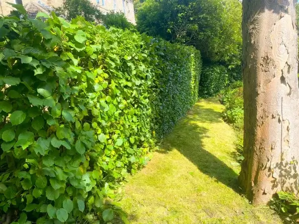 Landscaping Services in Adel